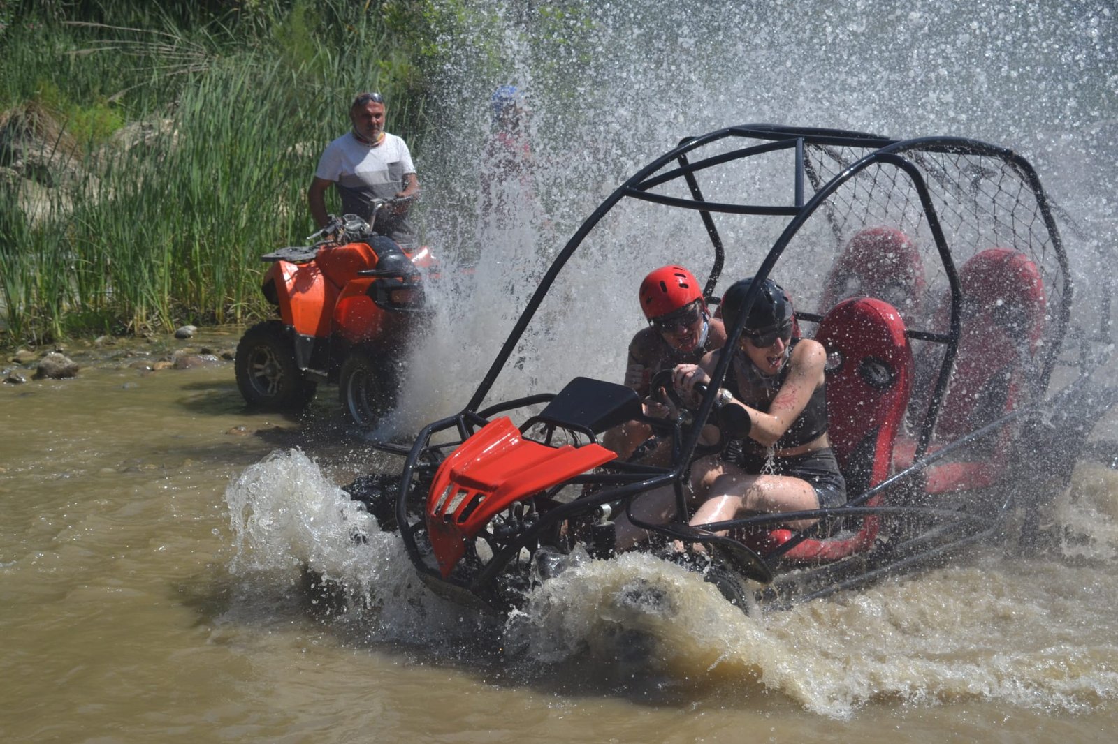 Family Buggy Experience